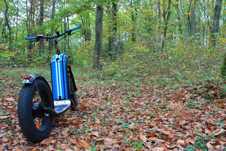 Zosh, the all-terrain electric scooter guaranteed to give you 100% thrills and spills.